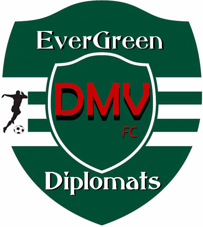 Evergreen Diplomats 2014-Pres Primary Logo DTF transfer for t shirt